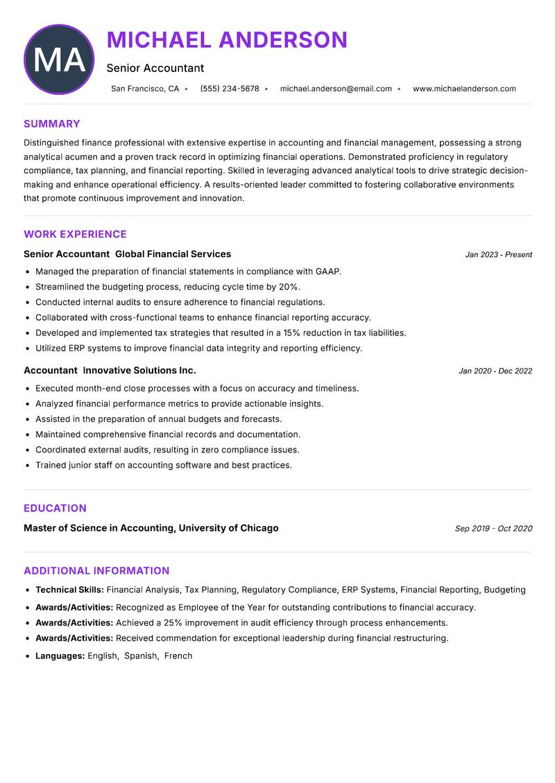 Accountant Resume Preview Example