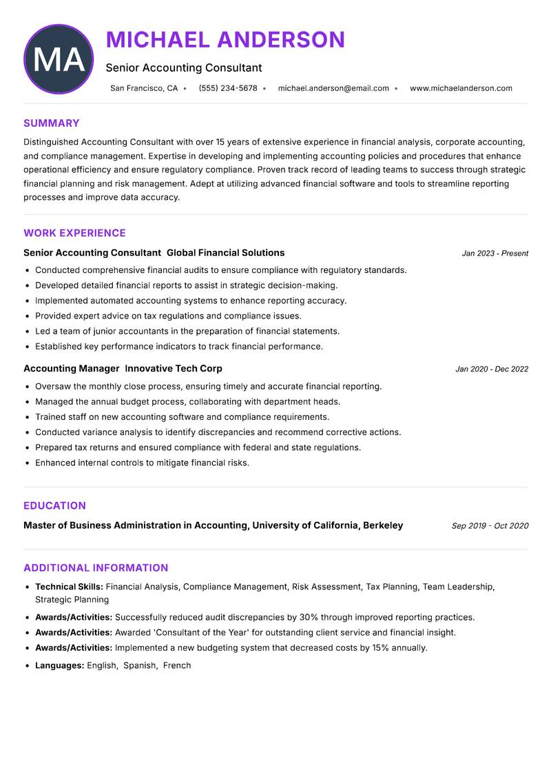 Accounting Consultant Resume Preview Example