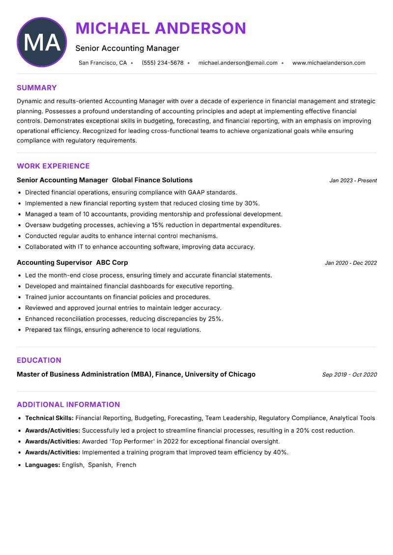Accounting Manager Resume Preview Example