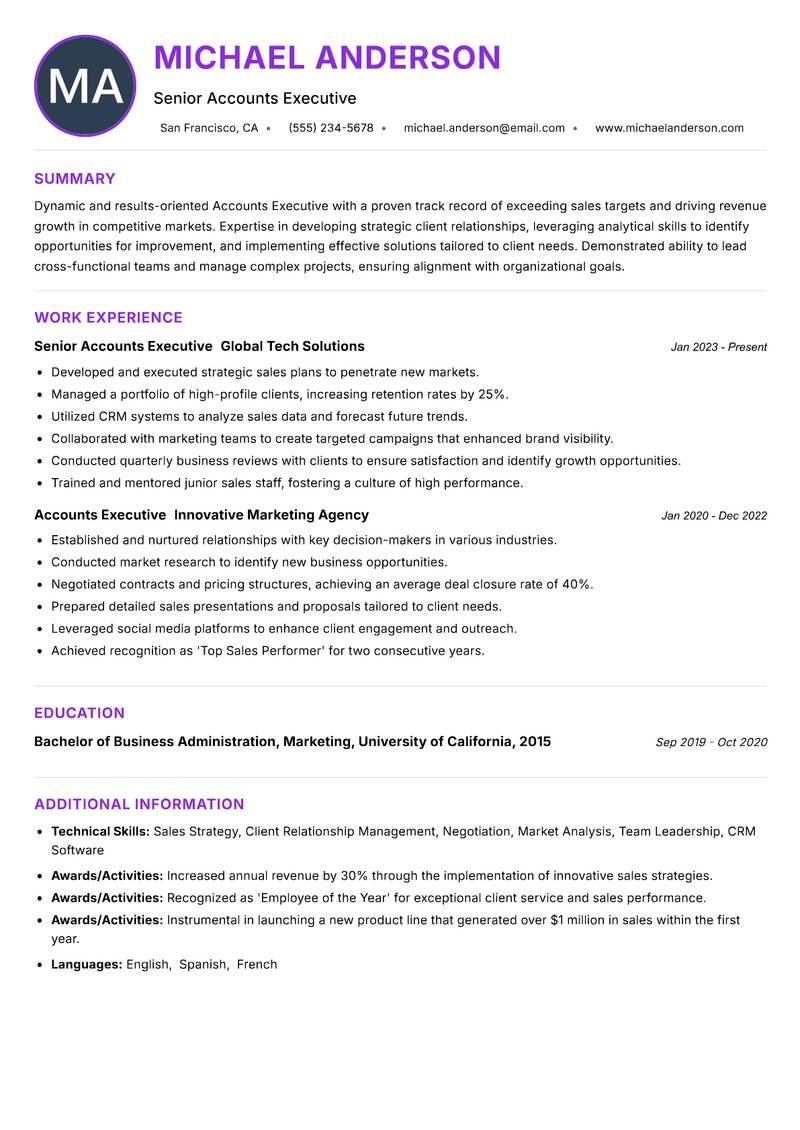 Accounts Executive Resume Preview Example