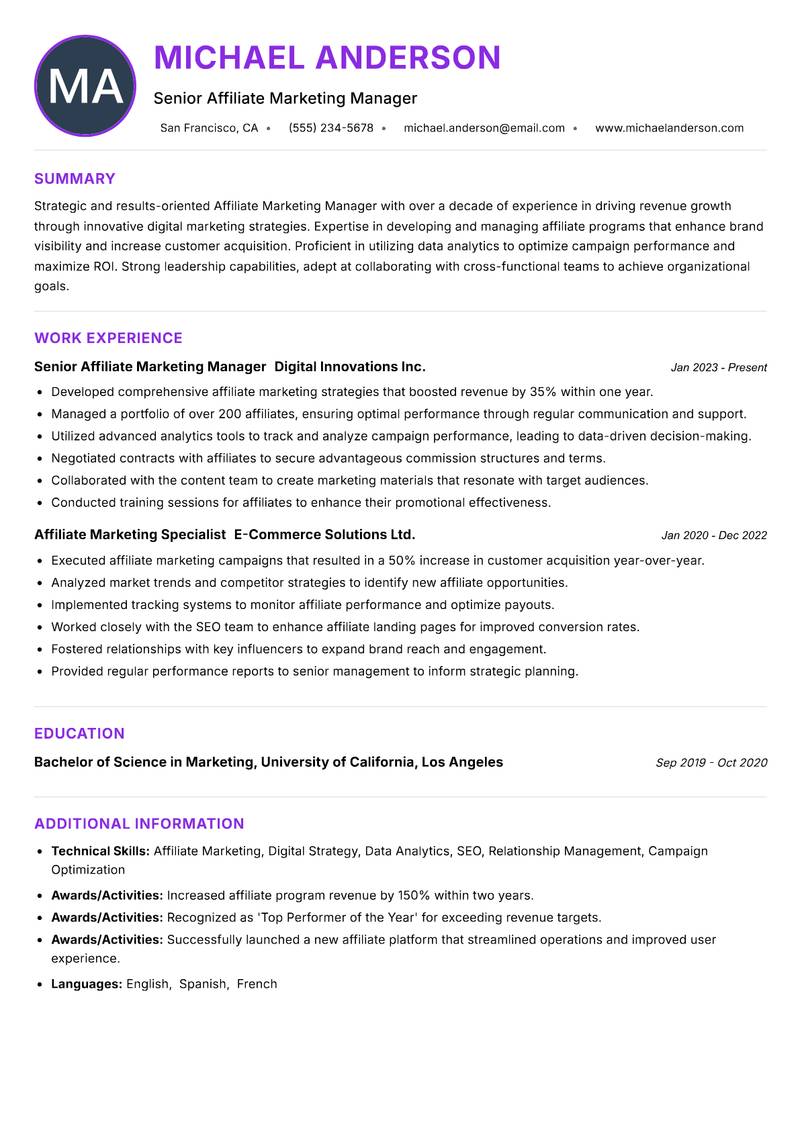 Affiliate Marketing Manager Resume Preview Example