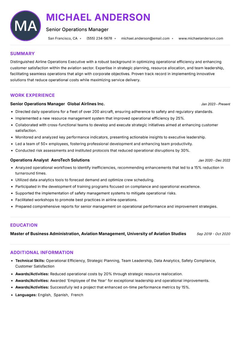 Airline Operations Executive Resume Preview Example