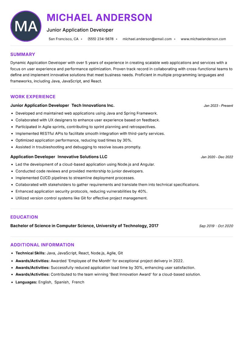 Application Developer Resume Preview Example