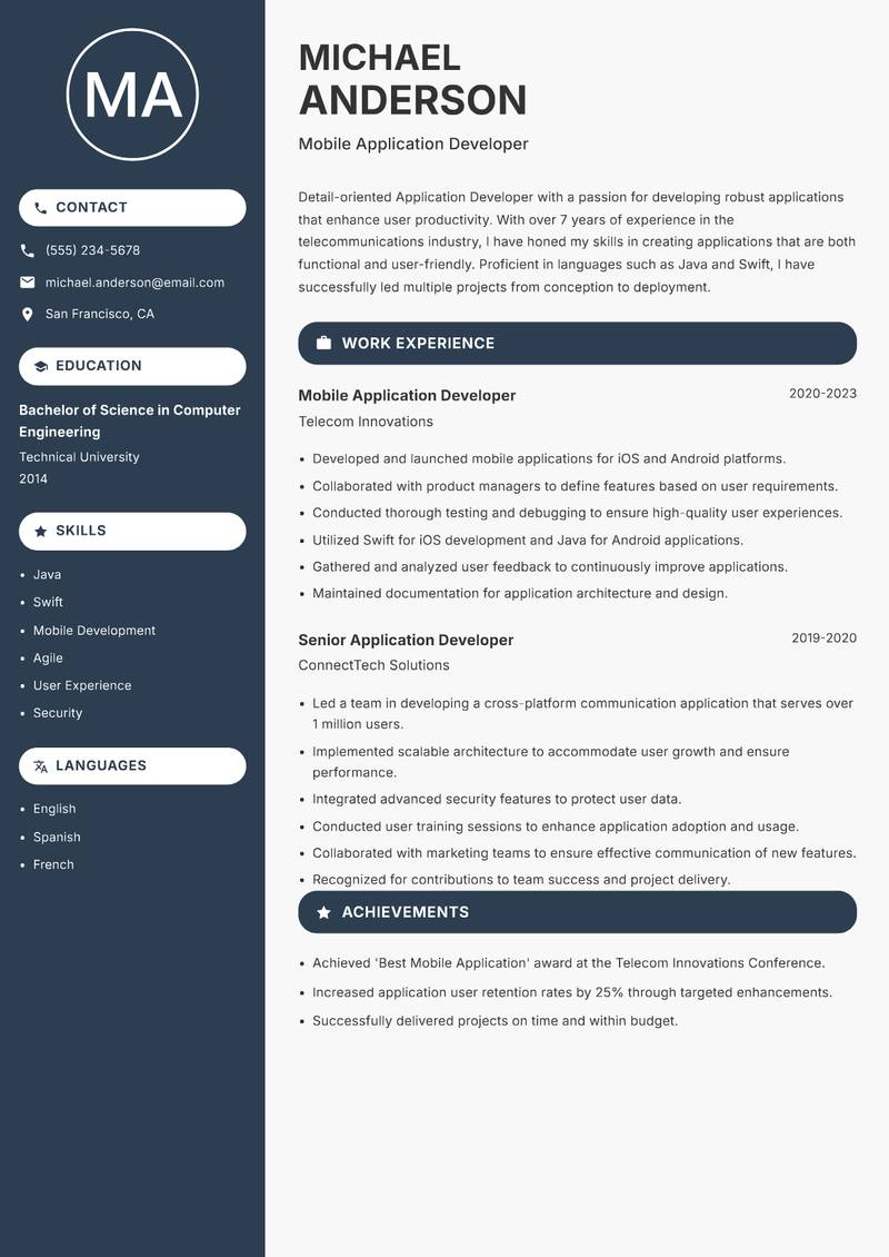 Application Developer Resume Preview Example