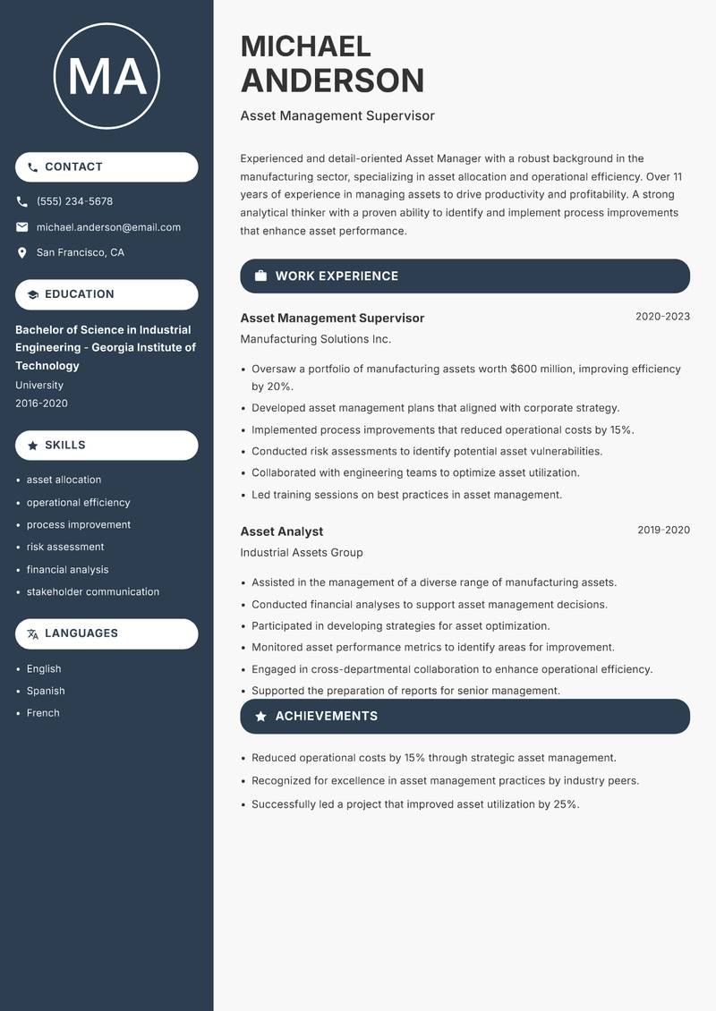 Asset Manager Resume Preview Example