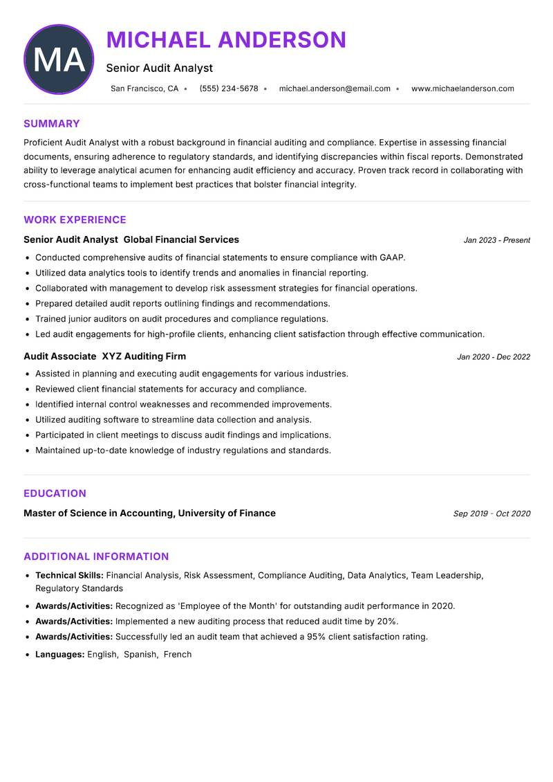 Audit Analyst Resume Preview Example