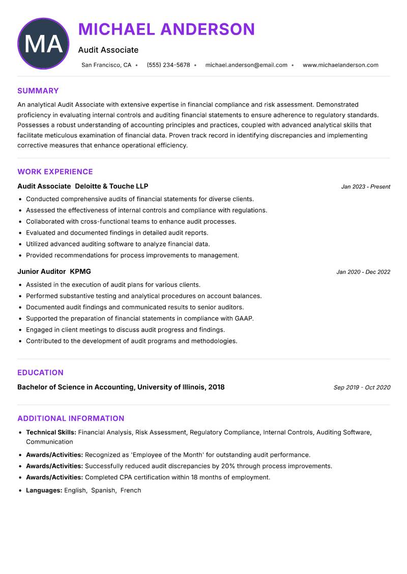Audit Associate Resume Preview Example