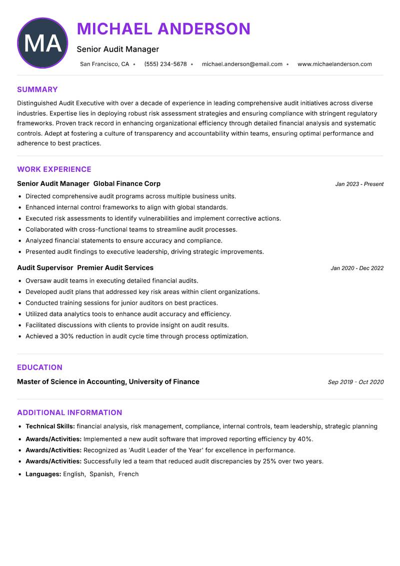 Audit Executive Resume Preview Example
