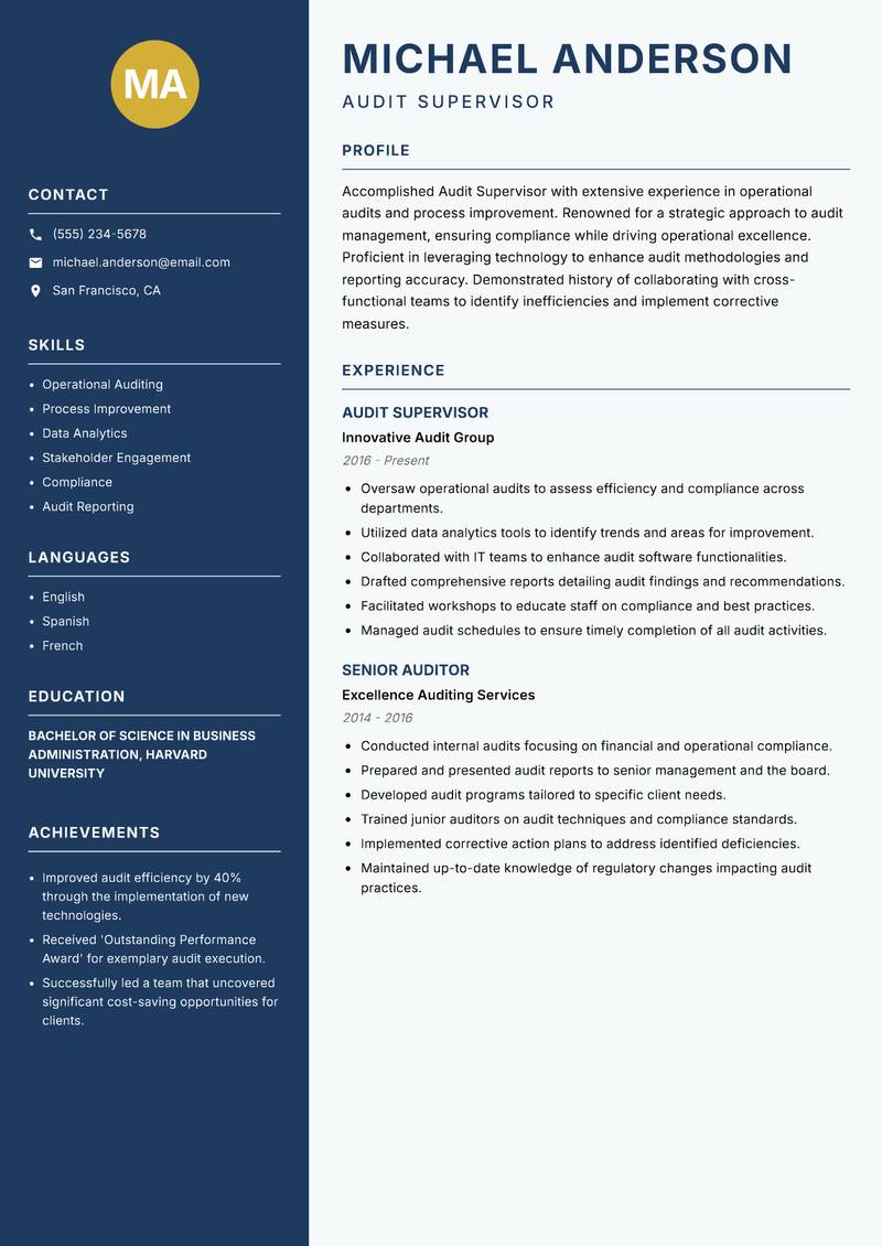Audit Supervisor Resume Preview Example