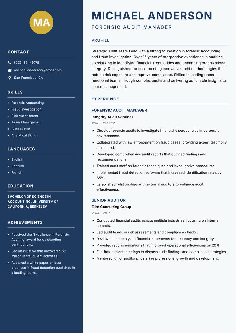 Audit Team Lead Resume Preview Example