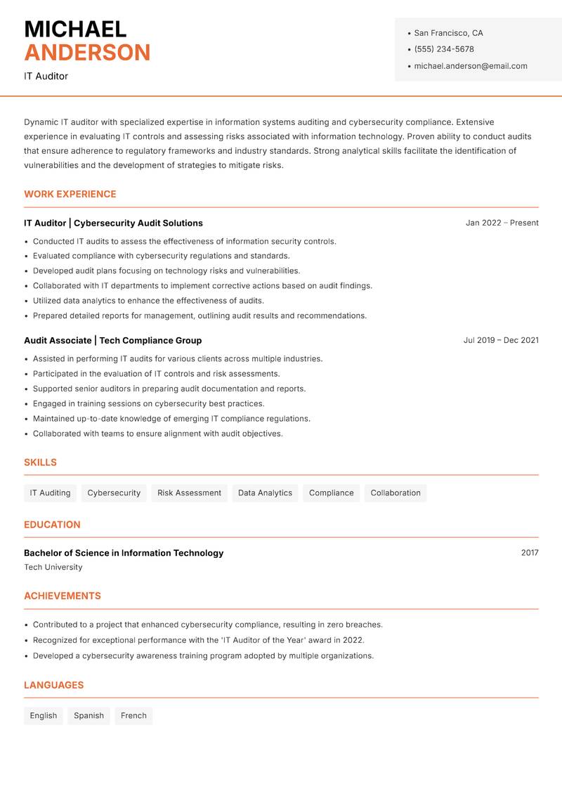 Auditor Resume Template
