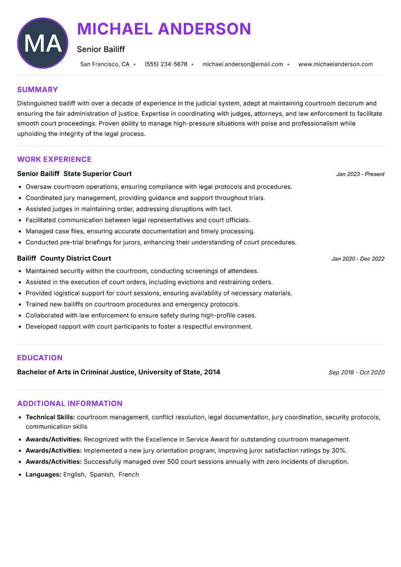 Bailiff Resume Preview Example