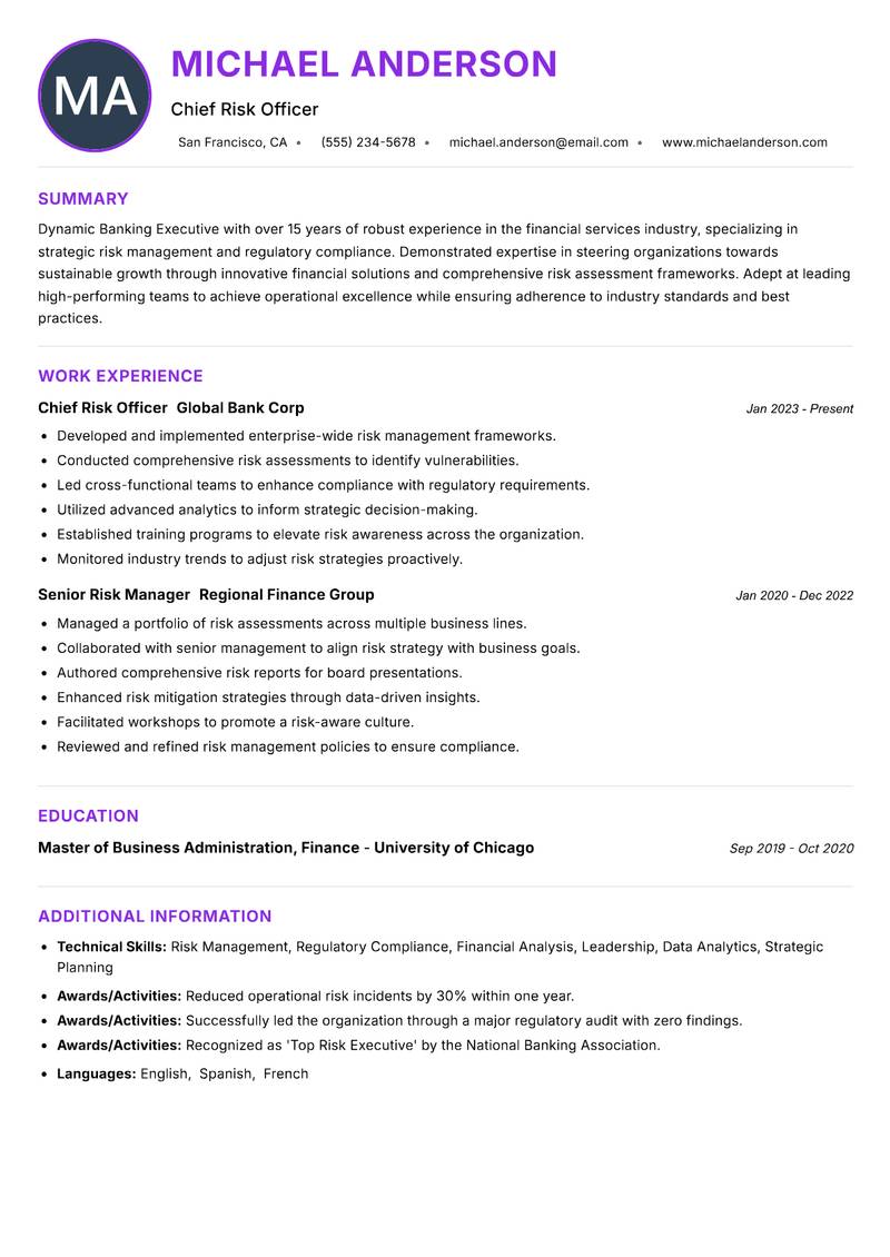 Banking Executive Resume Preview Example