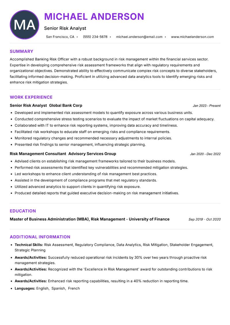 Banking Risk Officer Resume Preview Example
