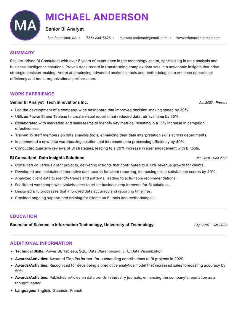 BI Consultant Resume Preview Example