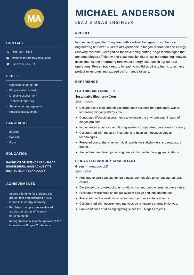 Biogas Plant Engineer Resume Preview Example