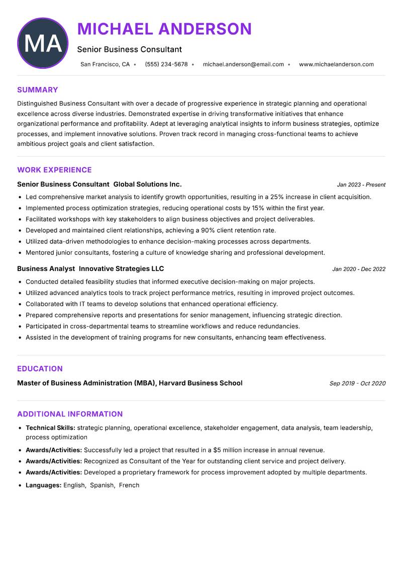 Business Consultant Resume Preview Example
