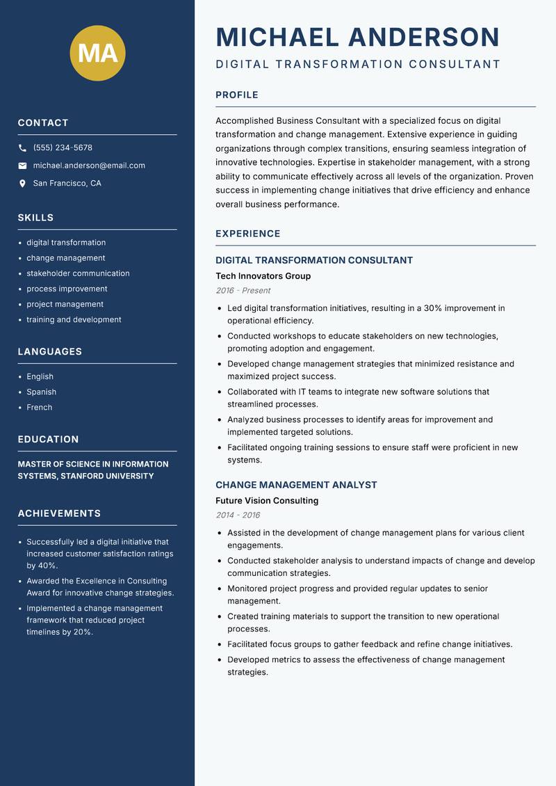 Business Consultant Resume Preview Example