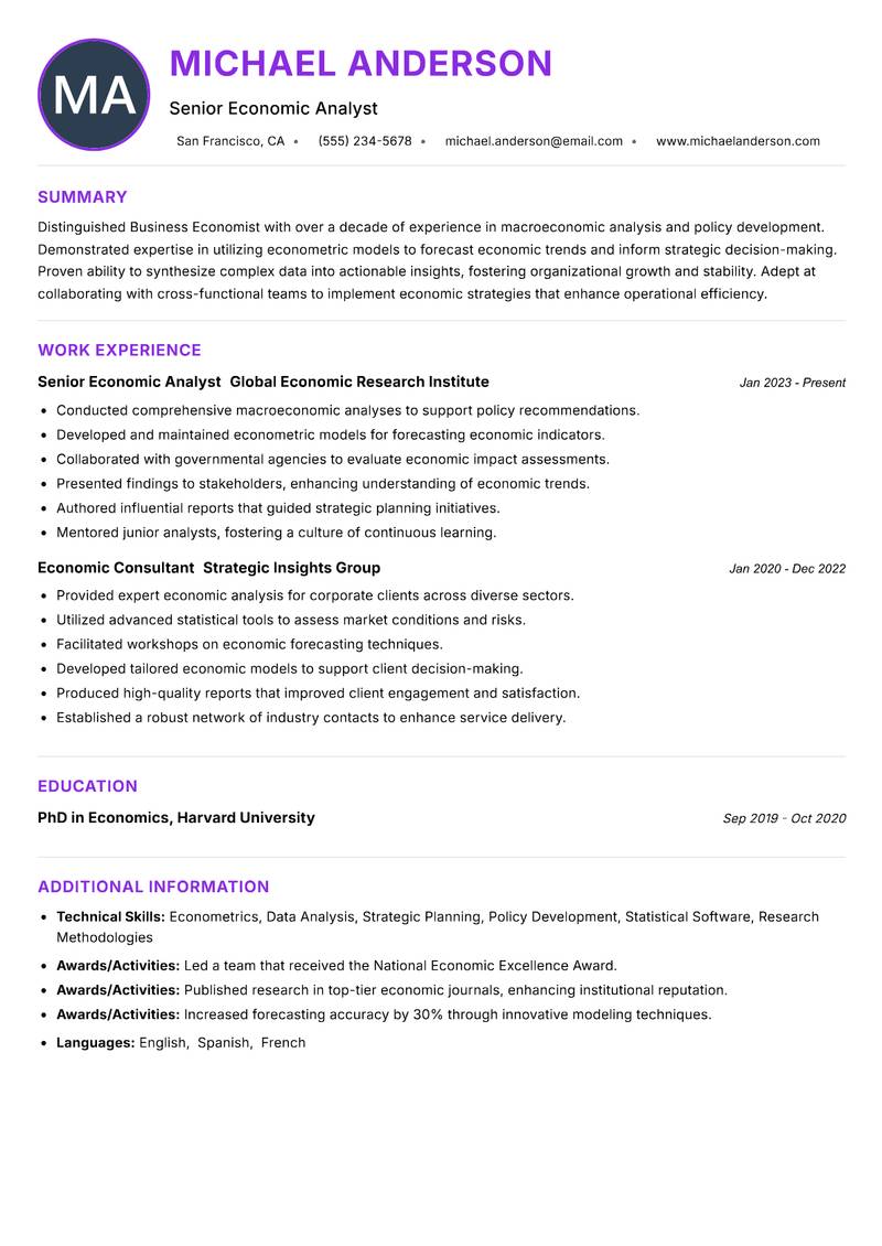Business Economist Resume Preview Example
