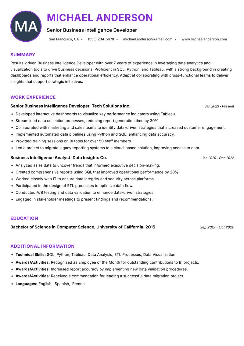 Business Intelligence Developer Resume Preview Example