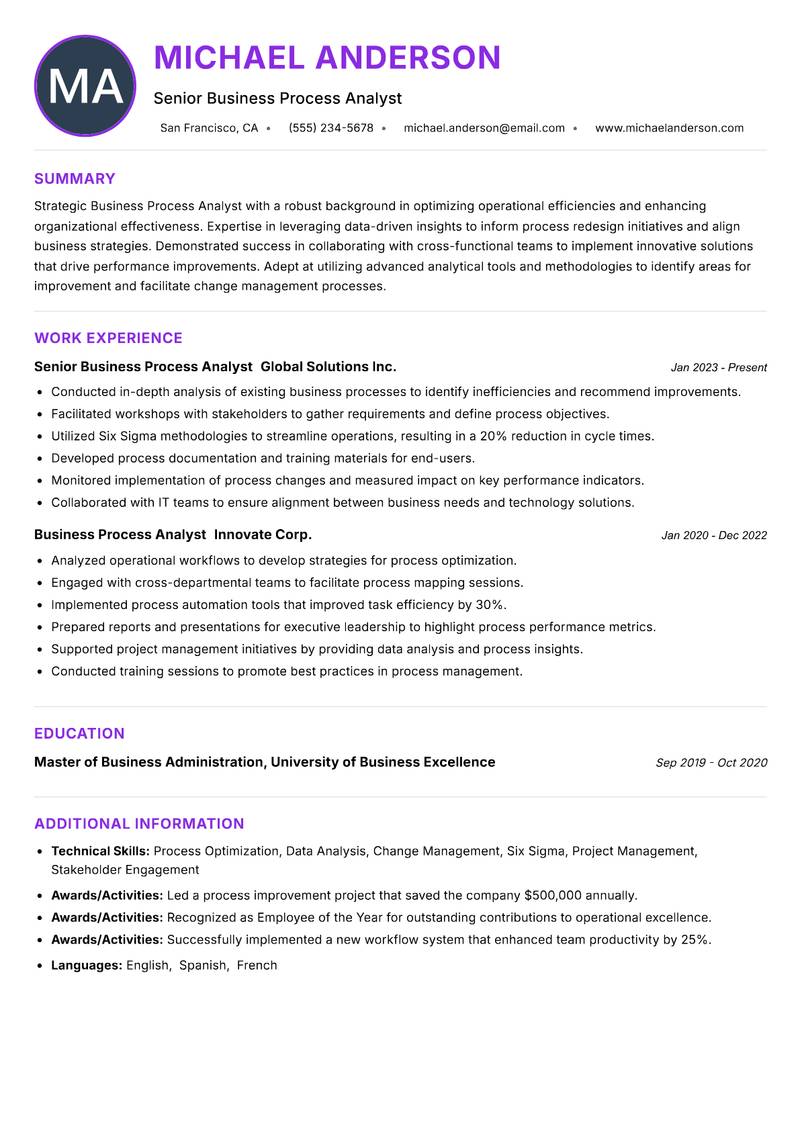 Business Process Analyst Resume Preview Example