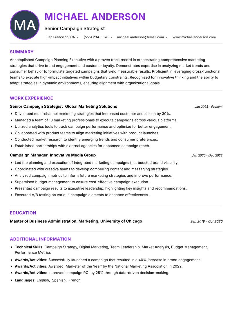 Campaign Planning Executive Resume Preview Example