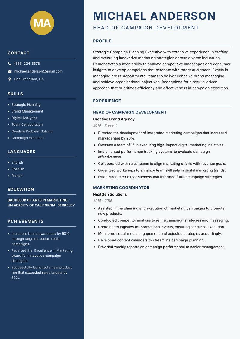 Campaign Planning Executive Resume Preview Example