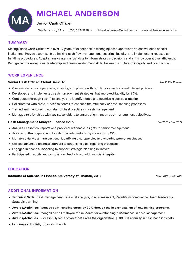 Cash Officer Resume Preview Example