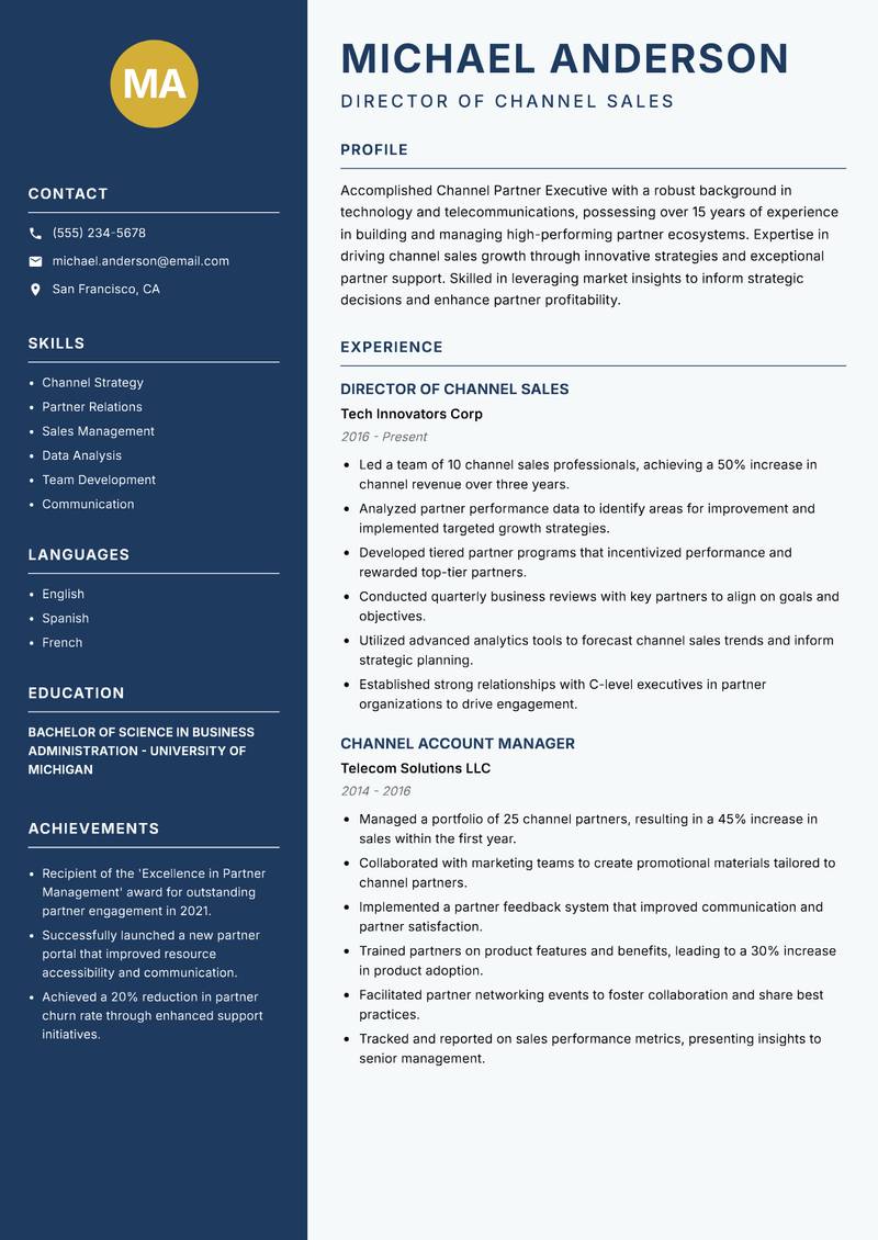 Channel Partner Executive Resume Preview Example