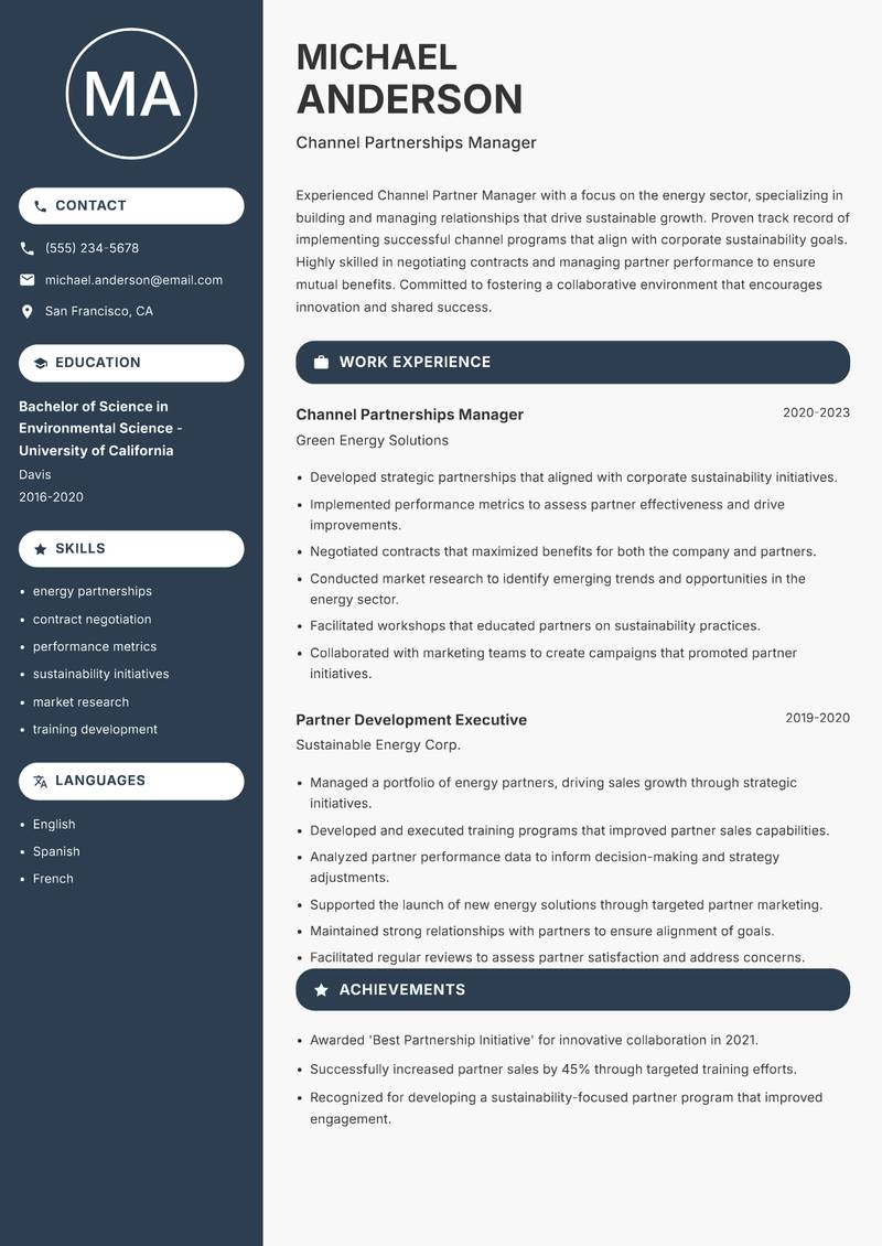 Channel Partner Manager Resume Preview Example
