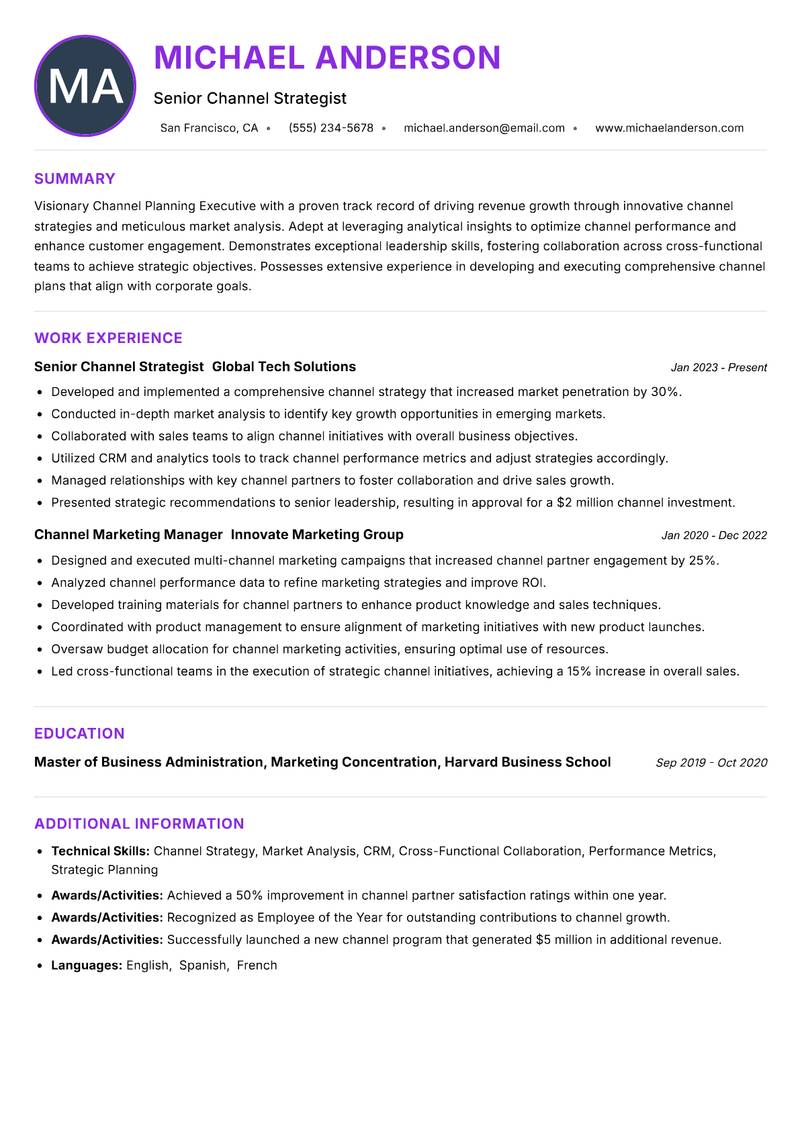 Channel Planning Executive Resume Preview Example