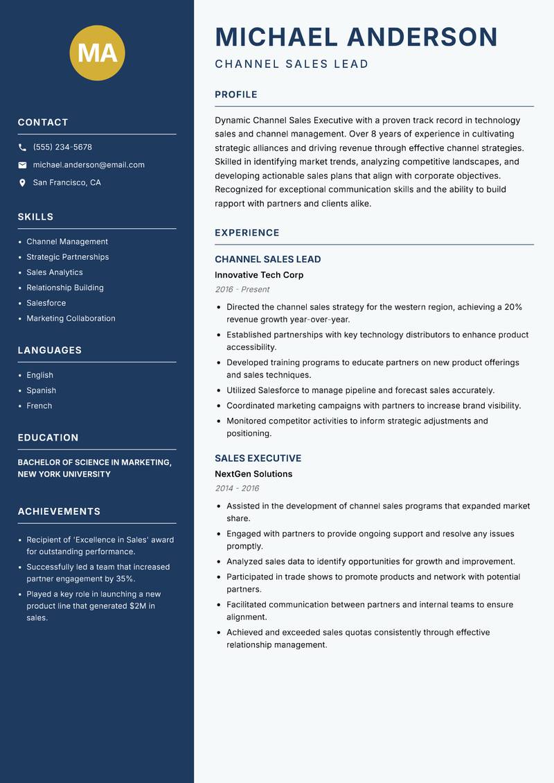 Channel Sales Executive Resume Preview Example