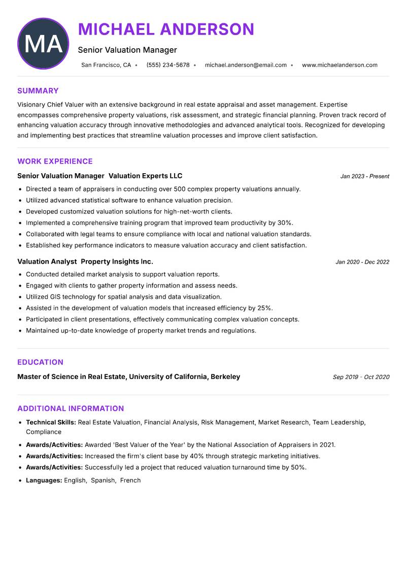 Chief Valuer Resume Preview Example
