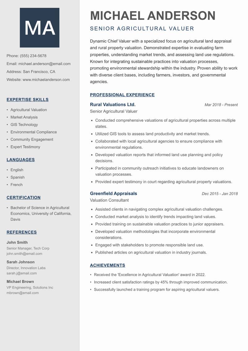 Chief Valuer Resume Preview Example
