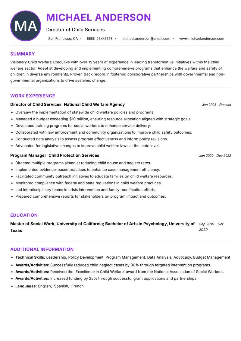 Child Welfare Executive Resume Preview Example