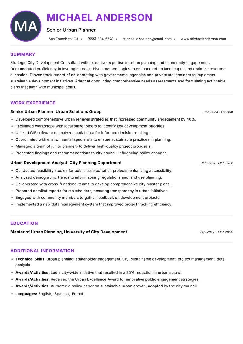 City Development Consultant Resume Preview Example