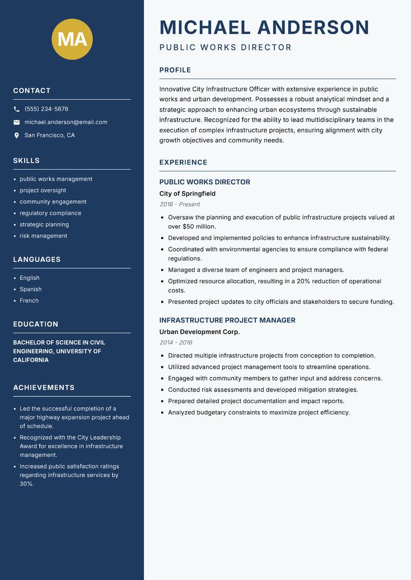 City Infrastructure Officer Resume Preview Example