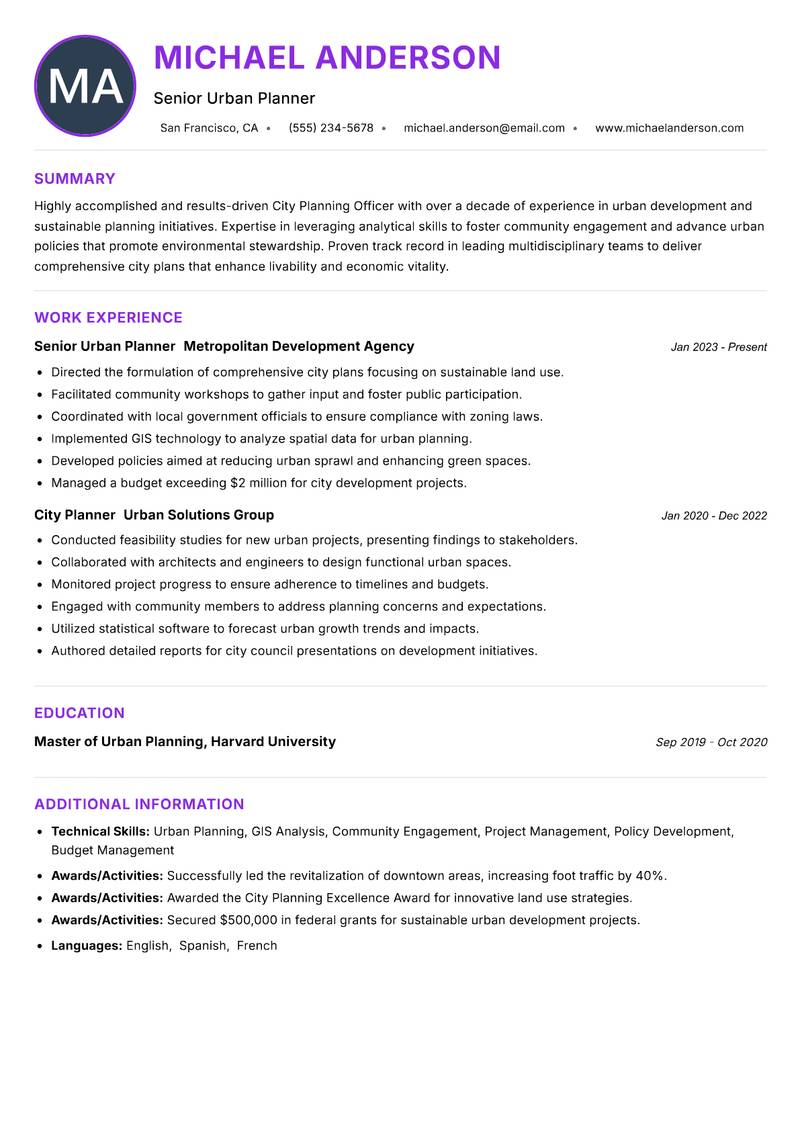 City Planning Officer Resume Preview Example