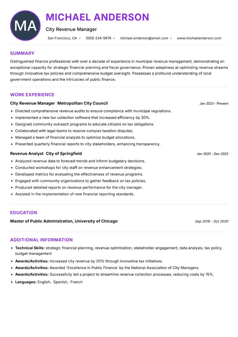 City Revenue Officer Resume Preview Example
