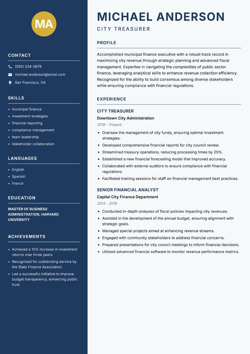 City Revenue Officer Resume Preview Example