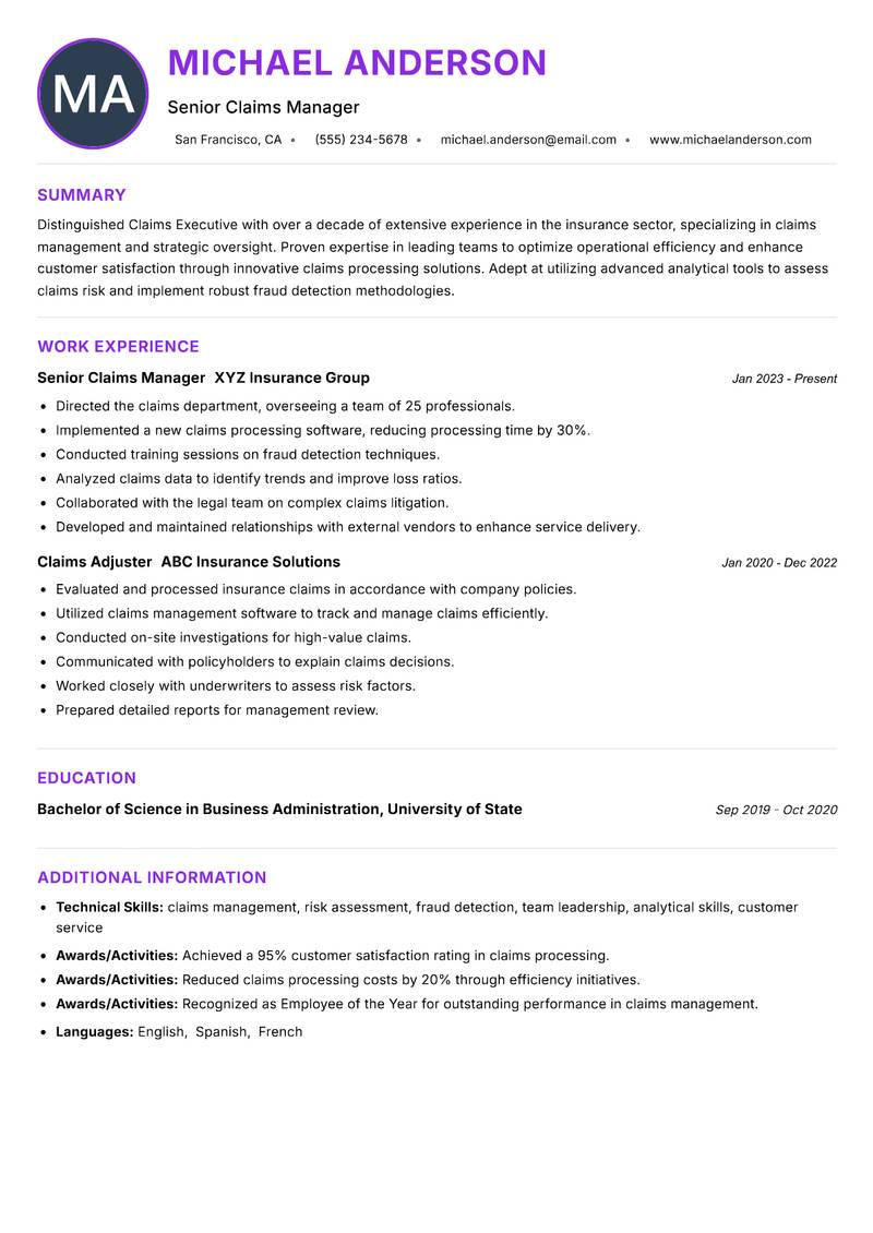 Claims Executive Resume Preview Example