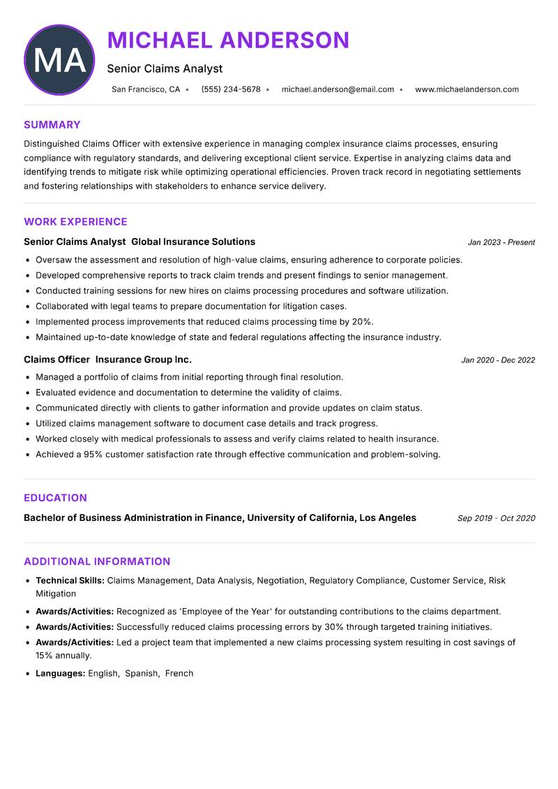 Claims Officer Resume Preview Example
