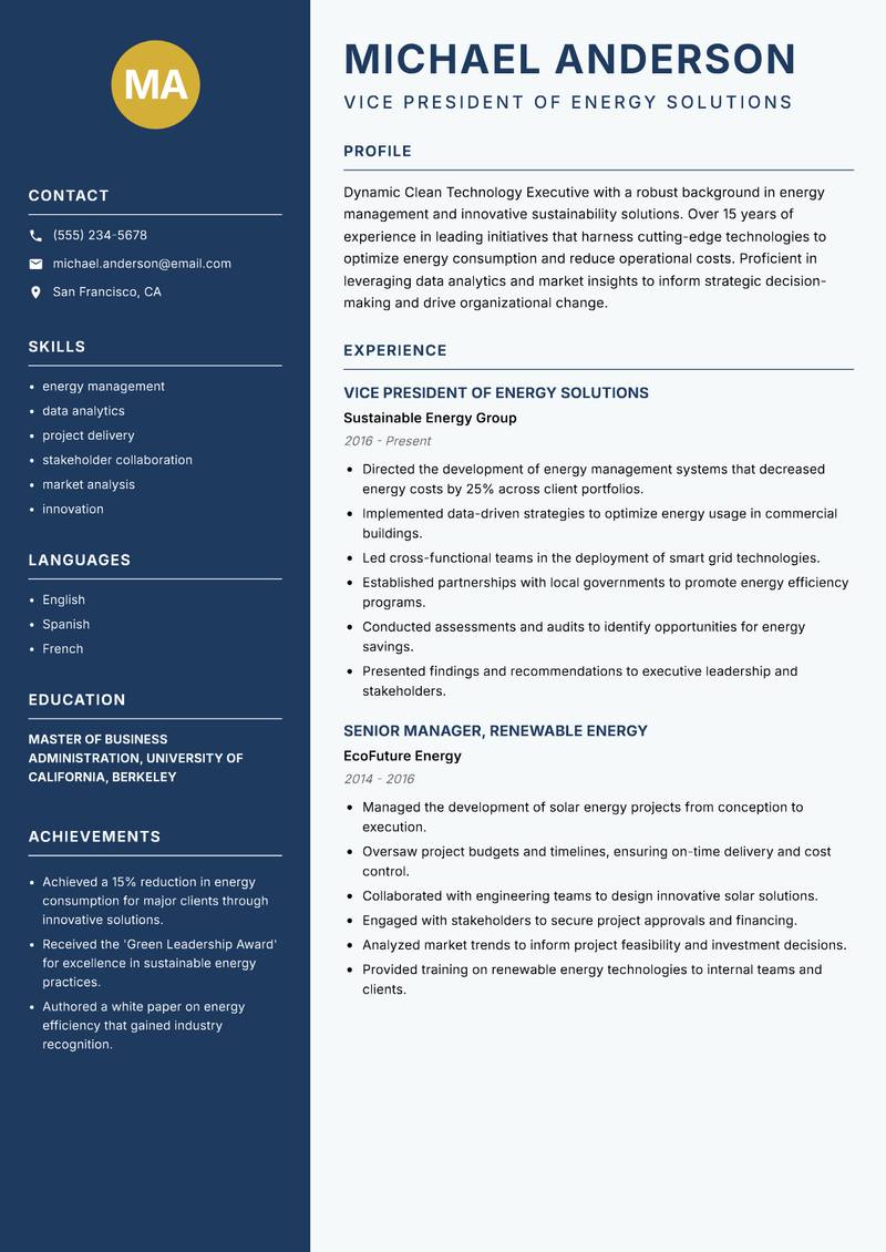 Clean Technology Executive Resume Preview Example