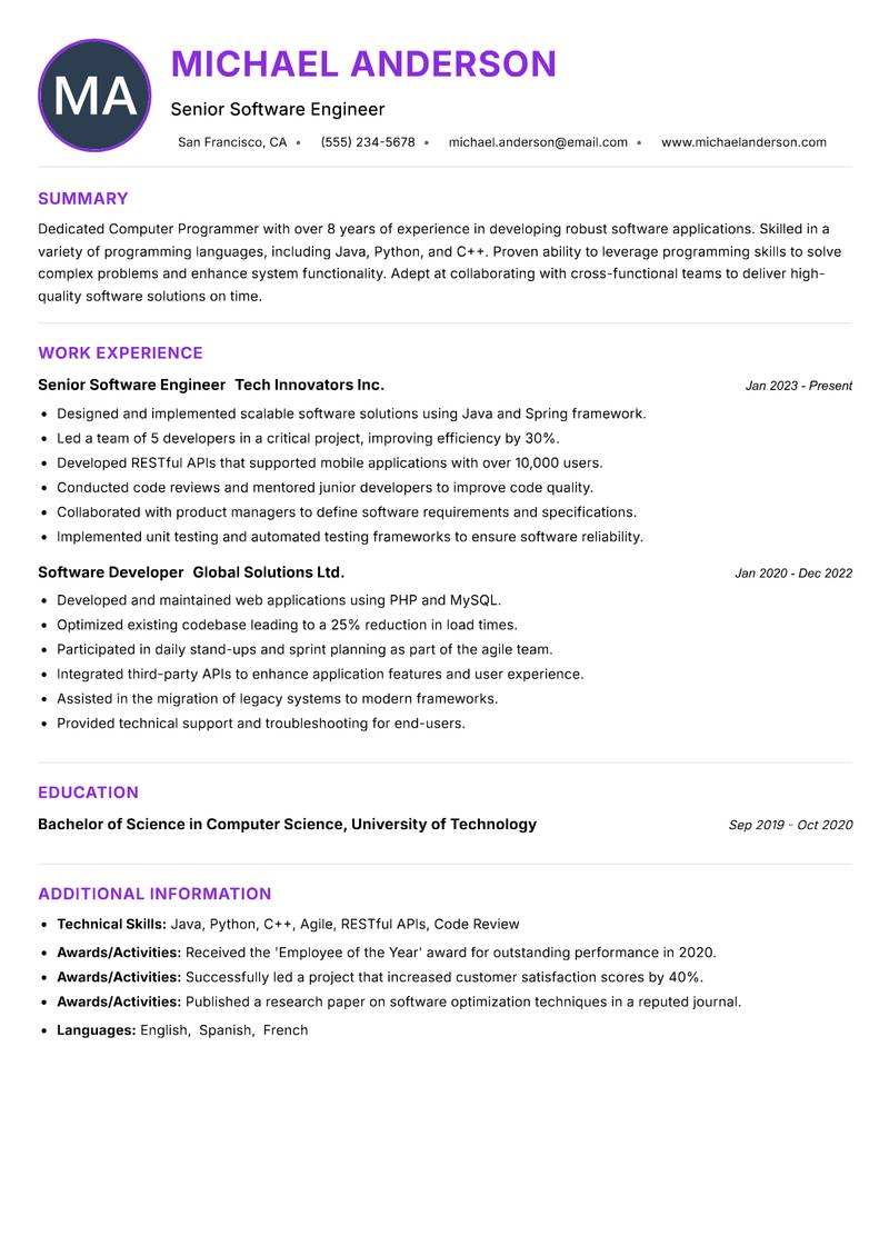 Computer Programmer Resume Preview Example