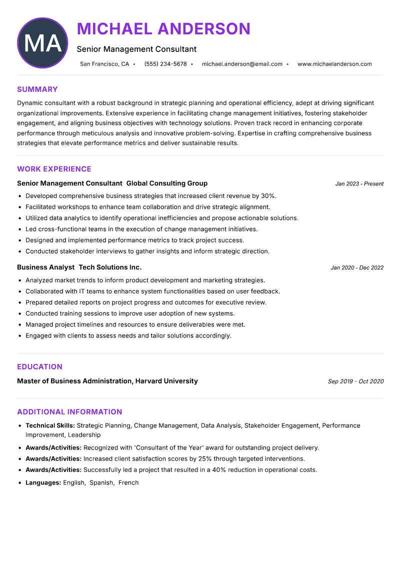 Consultant Resume Preview Example