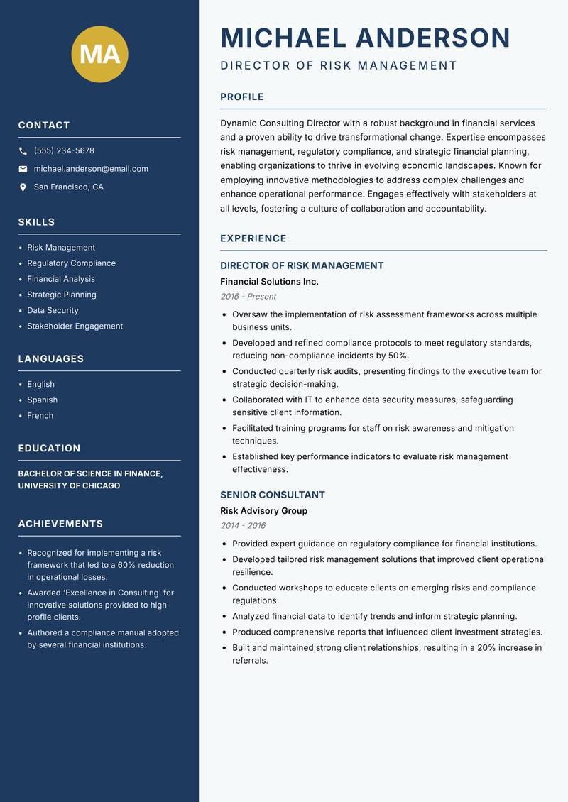 Consulting Director Resume Preview Example
