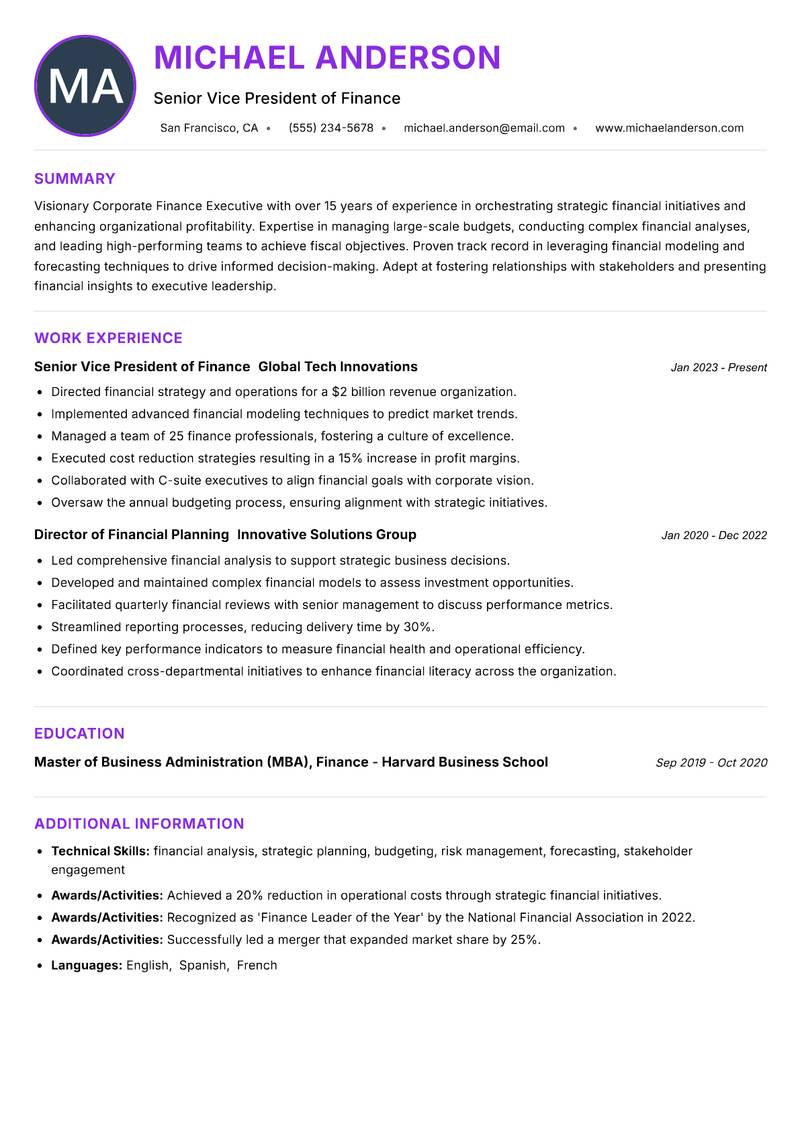 Corporate Finance Executive Resume Preview Example