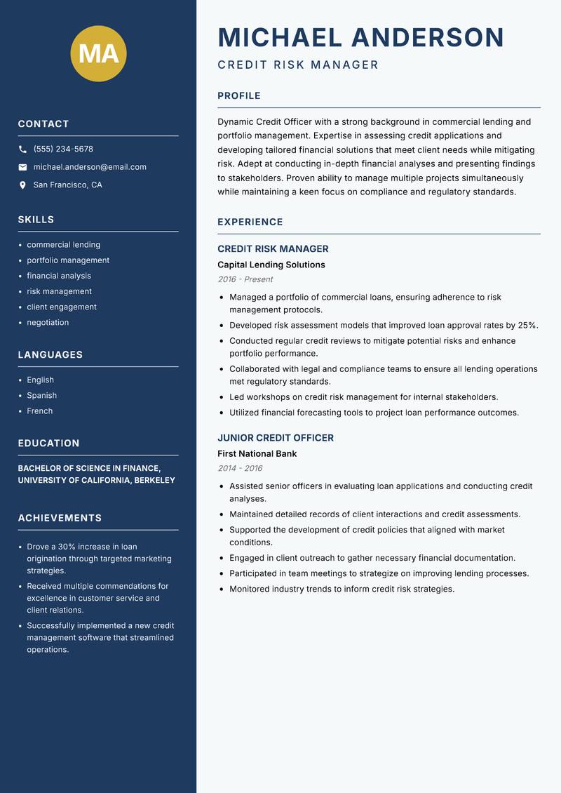 Credit Officer Resume Preview Example