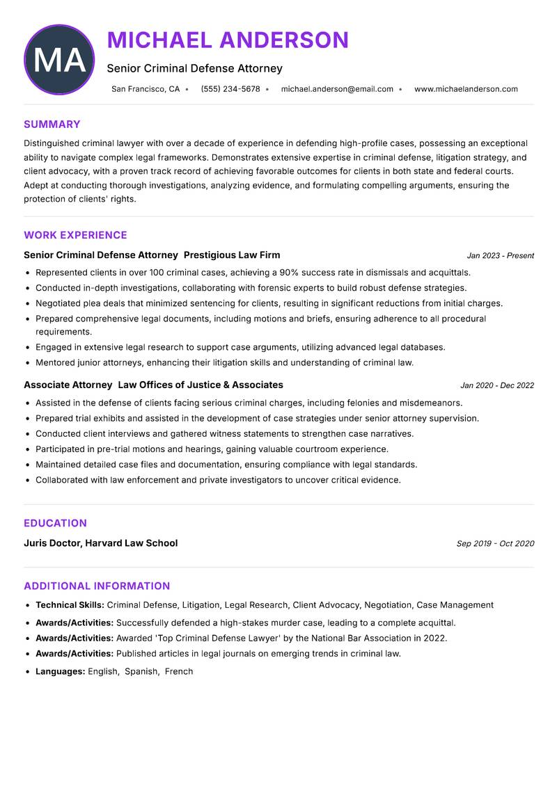 Criminal Lawyer Resume Preview Example