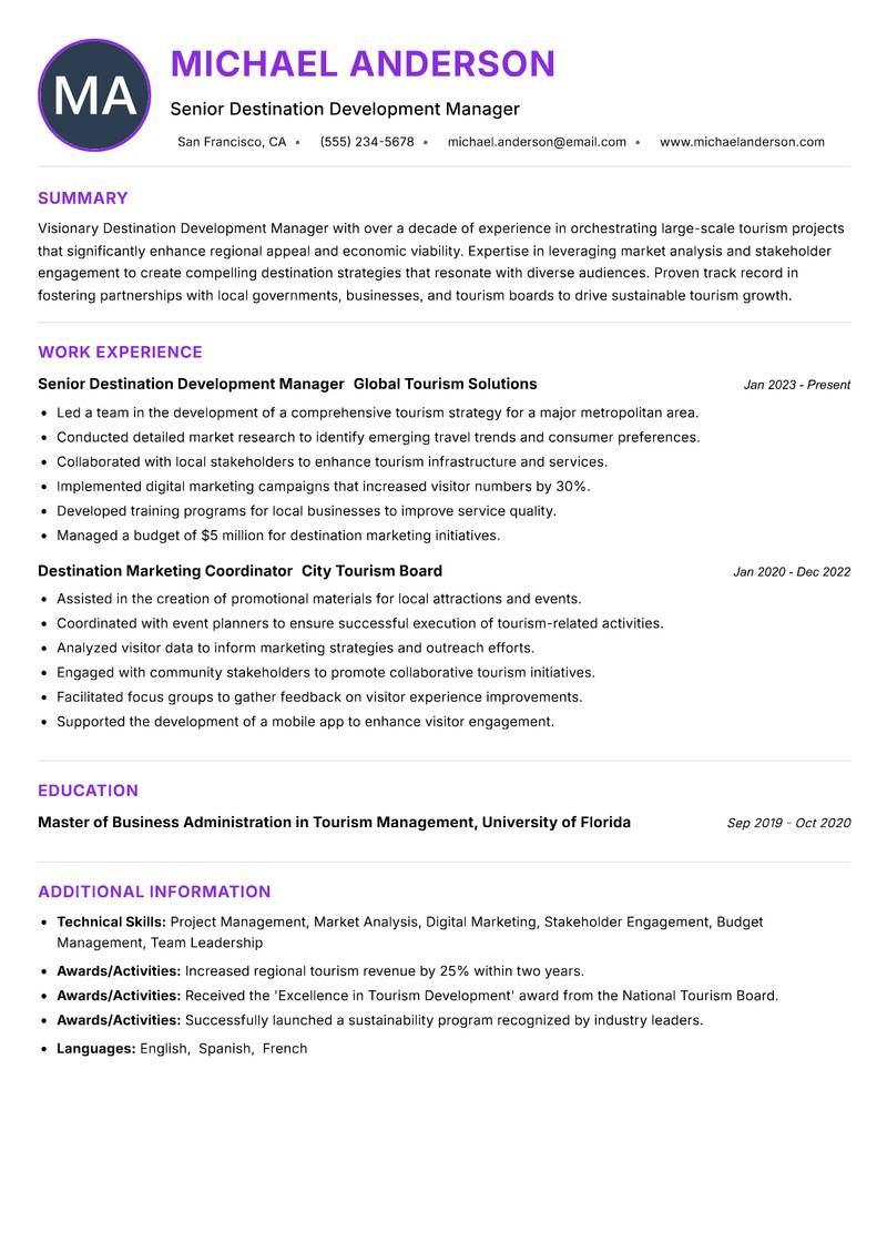 Destination Development Manager Resume Preview Example
